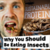 They really want us to eat bugs (preview)